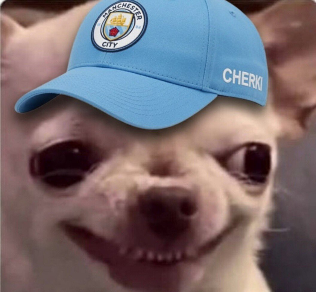 only1frosh tweet media