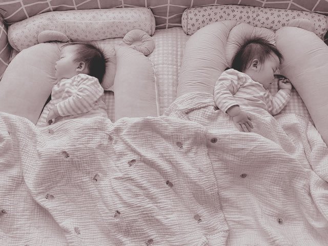 BRUXADEBL4IR's tweet photo. ㅤㅤㅤㅤㅤ
crescendo mais um pouco a família. dois novos filhotinhos. ♡ㅤㅤㅤㅤㅤ
ㅤㅤㅤㅤㅤㅤ https://t.co/t85i4I4ceZ