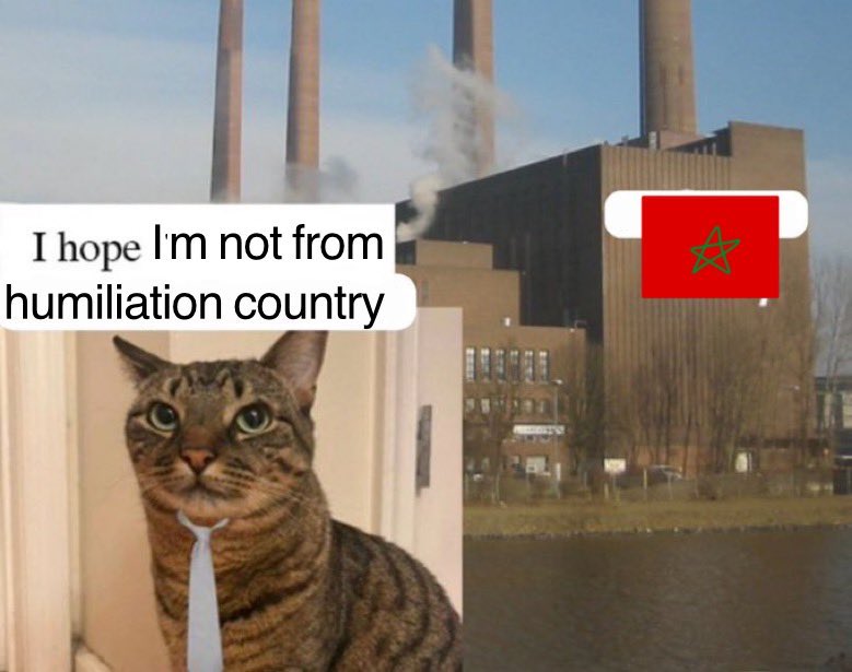 orcinus kid tweet media