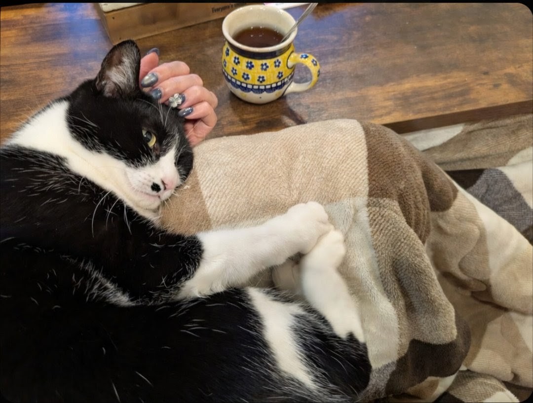 ◯パショ子🔴 tweet media