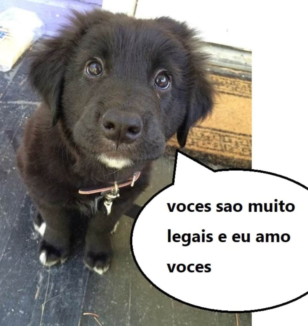 eu quando to bebendo com meus amigos e do nada fica silencio