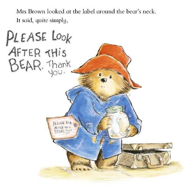 daily paddington tweet media