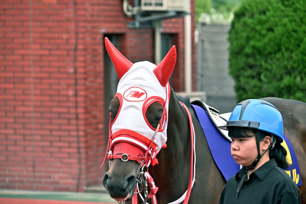 Tuki041229's tweet photo. 4R 3歳オープン 佐賀城下スプリント
       1300m
フラクタル×渡邉 竜也🥇✨
2026.04.19 https://t.co/8mwWNtx2Zn