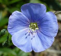 Rafał Mekler tweet media