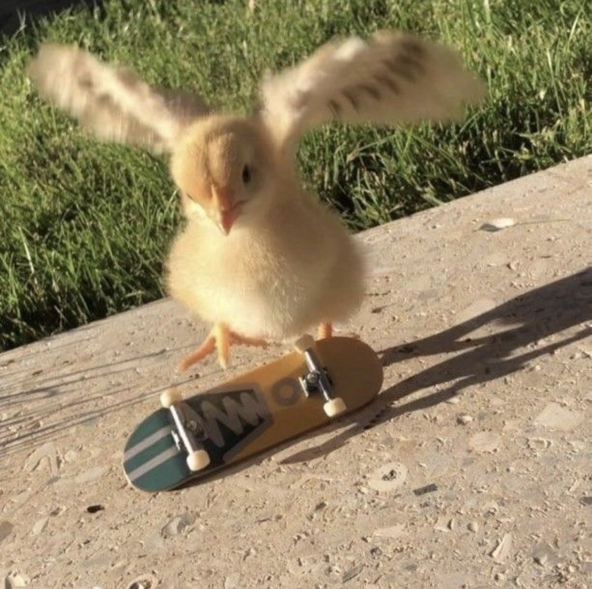 ♡𝜗𝜚𝓒𝓱𝓲𝓴𝓲𝓻𝓲𝓼𝓴𝓲𝜗𝜚♡ tweet media