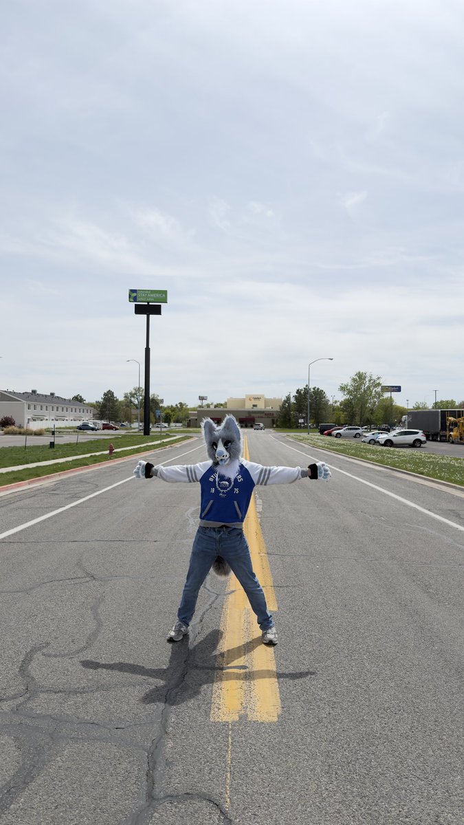 Felix the Coyote tweet media
