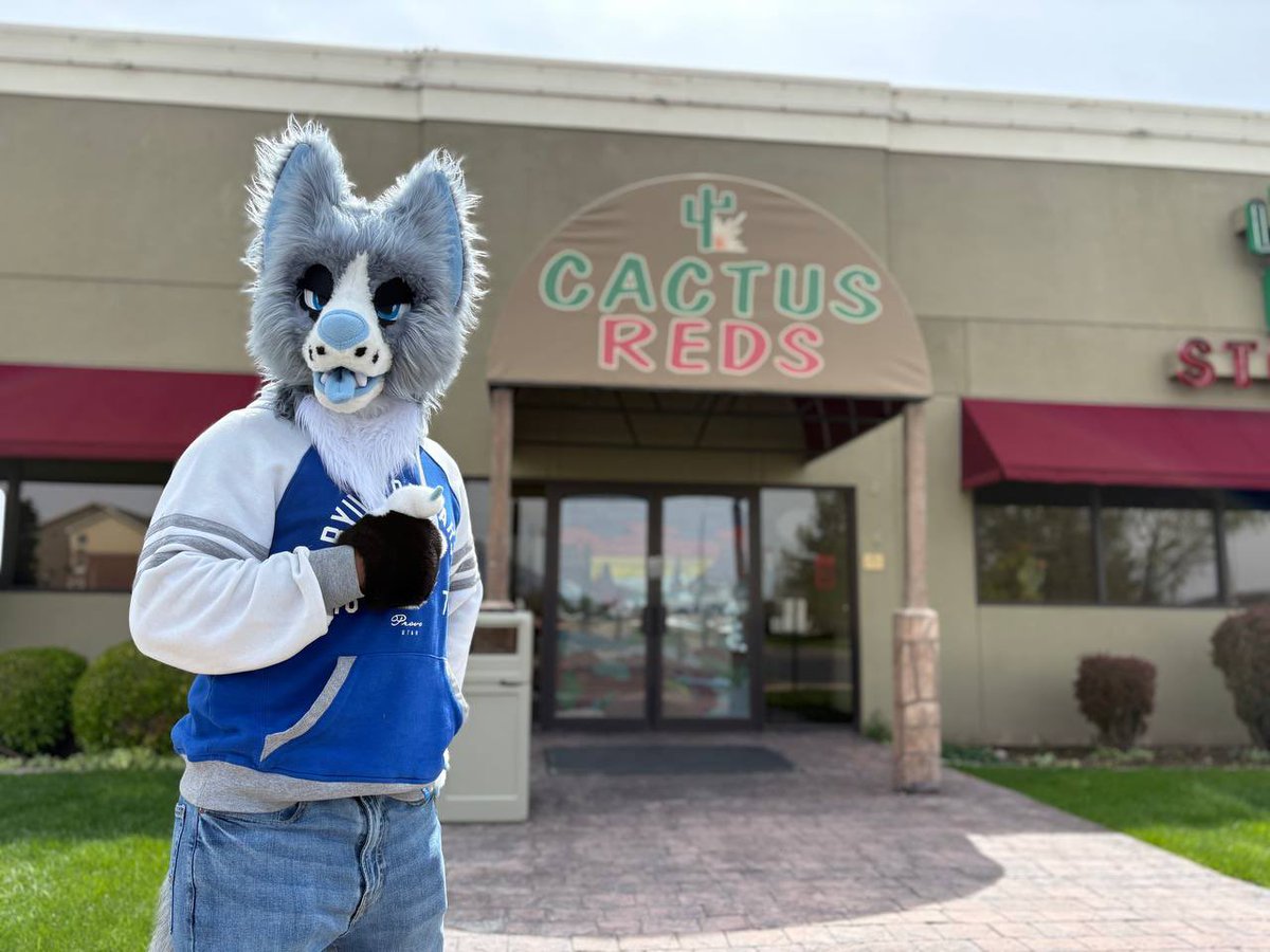 Felix the Coyote tweet media