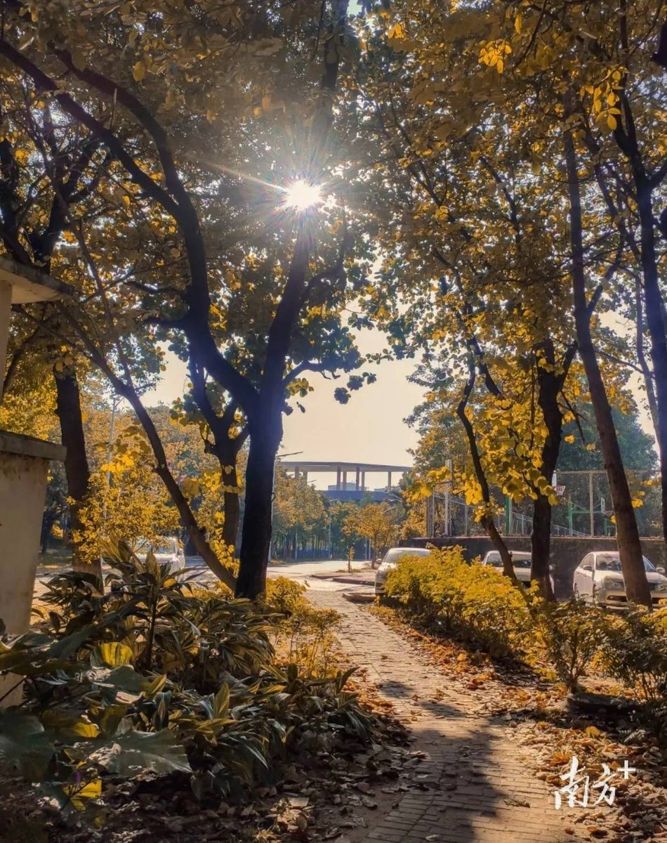 adeline harel tweet media