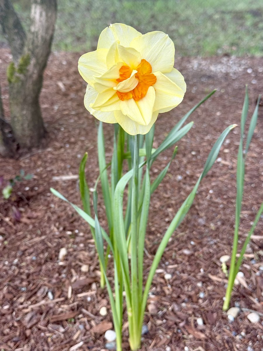 Scott = Blue Ghost 💙👻🏴‍☠️ tweet media