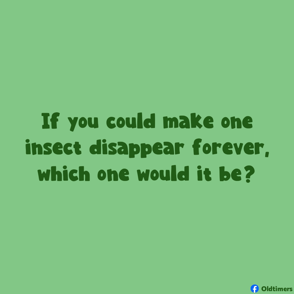 Oldtimers tweet media