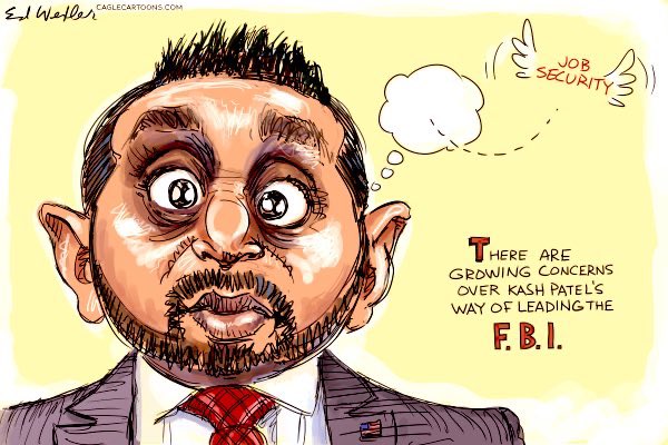 ®️רונן פלד Ronen Peled tweet media