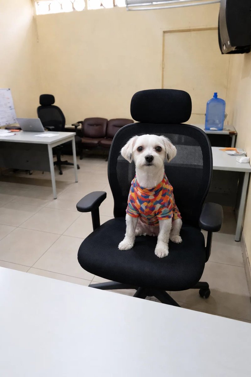 Jefferson Galindo tweet media