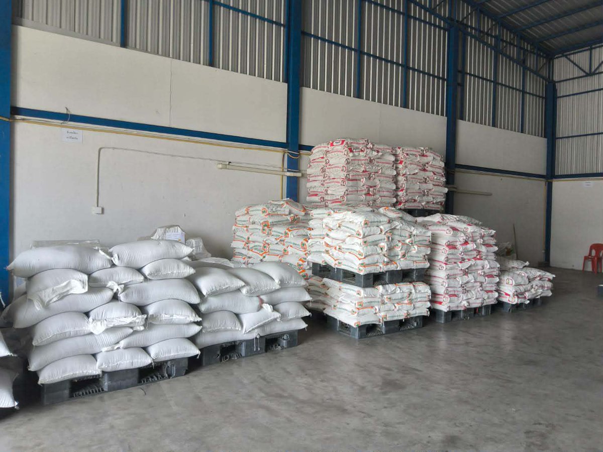 Lumari 🦋 tweet media