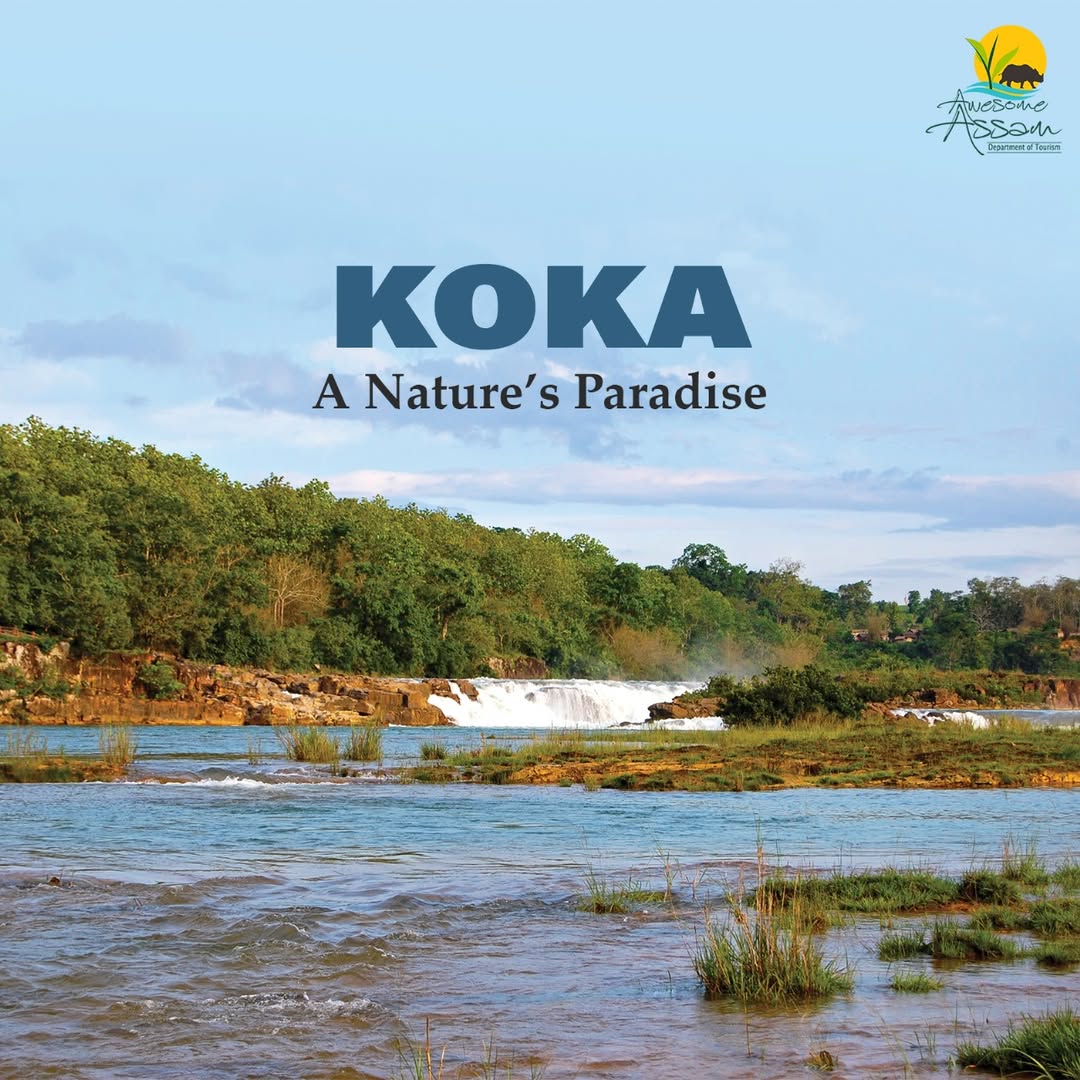 aweassam's tweet image. Koka is a dream destination for nature entusiasts. From cascading waterfalls to blue waters you will get everything that a nature lover dreams of.

#AwesomeAssam 
#Koka 
#KarbiAnglong 
#NatureLovers 
#ExploreAssam