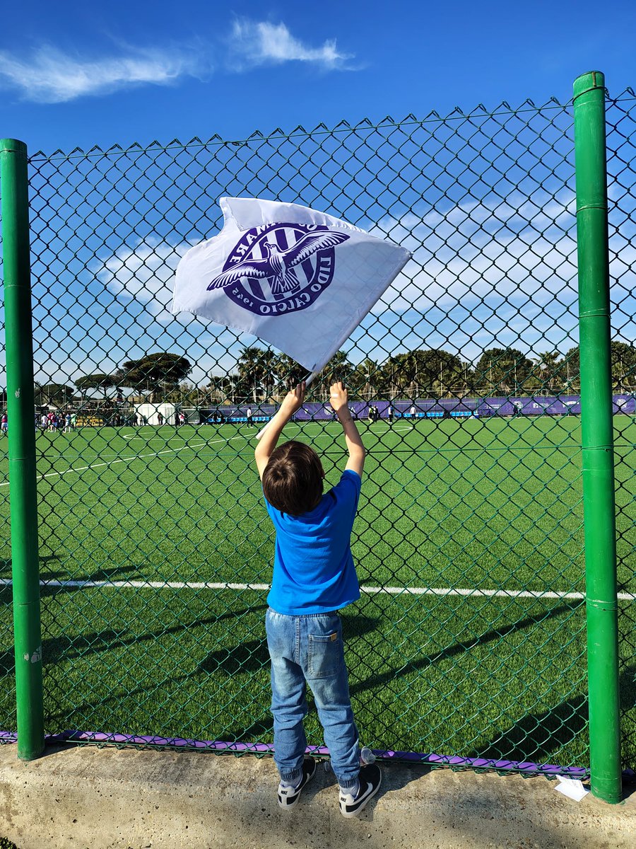 Massimiliano B. tweet media