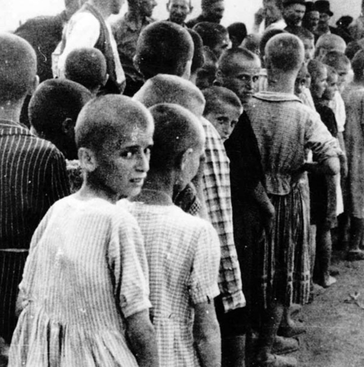 Mario ZNA tweet media