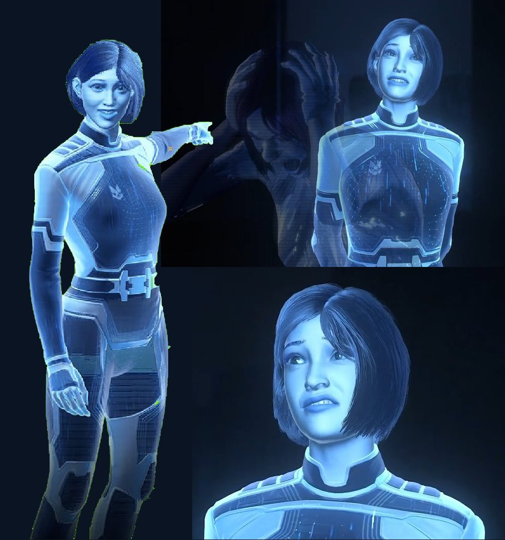 Daily Halo tweet media