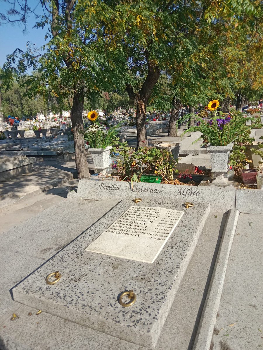 CCHYPF's tweet photo. CEMENTERIO METROPOLITANO DE SANTIAGO, PARTE II 🪦

Más fotografías de Nils Cisternas 📸, ¡gracias por compartir! ✨️

#CementeriosChilenosYPatrimonioFunerario #CementeriosChilenos #NecrópolisChilenas #CementerioMetropolitano #CementerioMetropolitanoDeSantiago #Necromanía https://t.co/SdW391YSHs