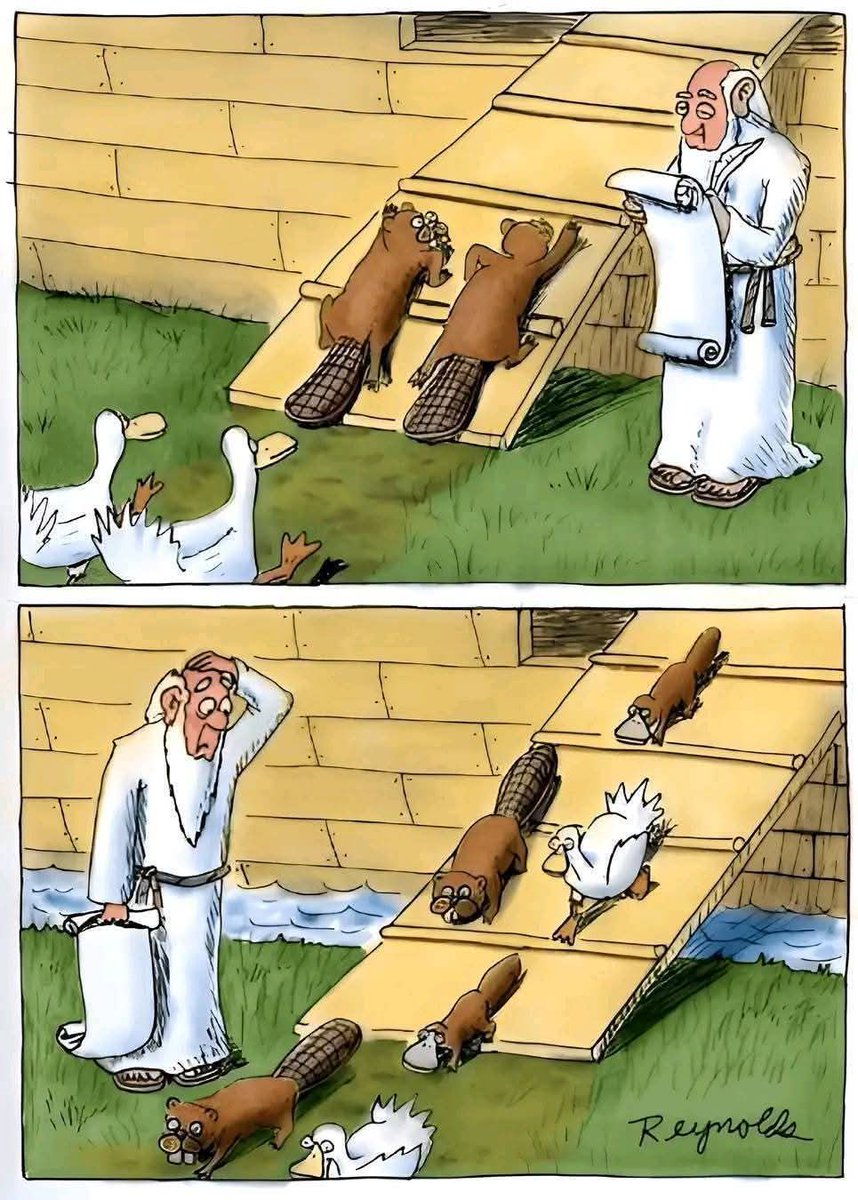 So that's how a duck-billed platypus came to be... Who knew🤷🏻‍♀️😂
Hope everyone has a blessed Sunday! 🙏