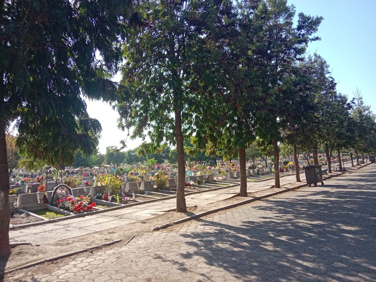 CCHYPF's tweet photo. CEMENTERIO METROPOLITANO DE SANTIAGO, PARTE III Y FINAL 🪦

Últimas fotografías de Nils Cisternas 📸, ¡gracias por compartir con nosotros! ✨️

#CementeriosChilenosYPatrimonioFunerario #CementeriosChilenos #NecrópolisChilenas #CementerioMetropolitano https://t.co/89cuhIhJ8G