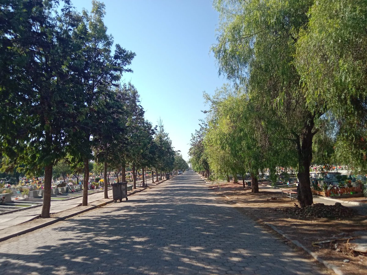 CCHYPF's tweet photo. CEMENTERIO METROPOLITANO DE SANTIAGO, PARTE III Y FINAL 🪦

Últimas fotografías de Nils Cisternas 📸, ¡gracias por compartir con nosotros! ✨️

#CementeriosChilenosYPatrimonioFunerario #CementeriosChilenos #NecrópolisChilenas #CementerioMetropolitano https://t.co/89cuhIhJ8G