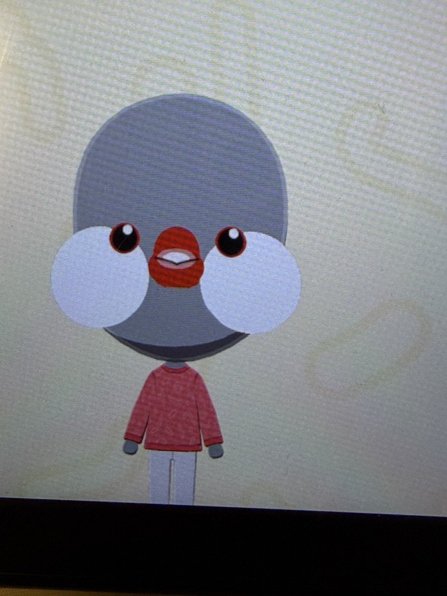 ハトー‼️ tweet media