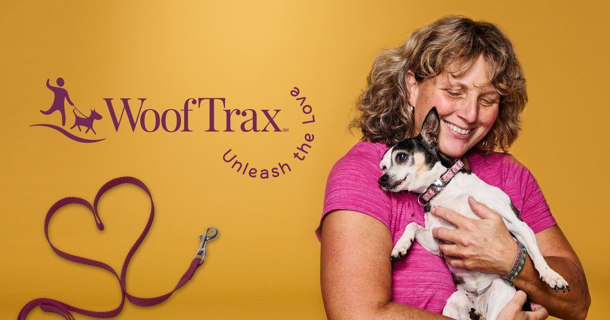 Chicago Pet Rescue tweet media