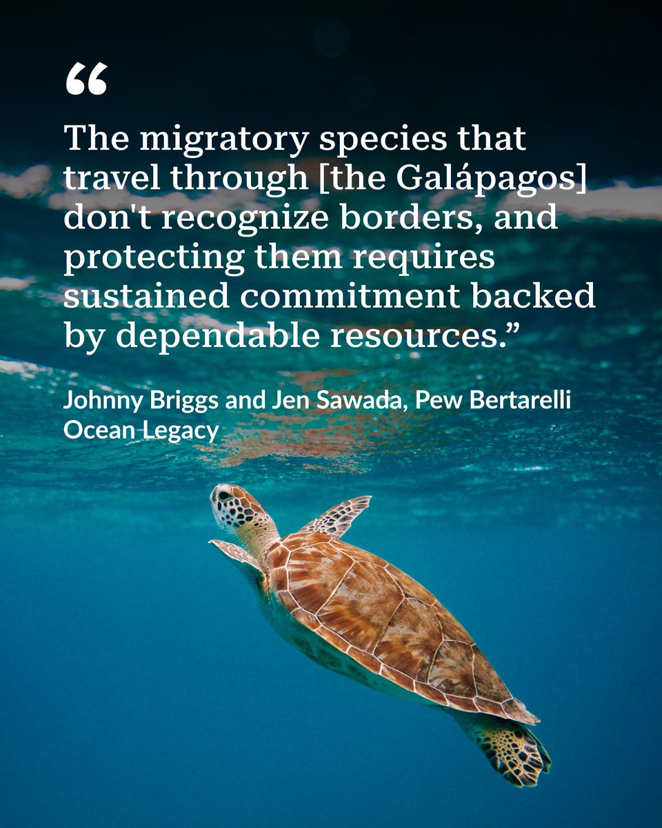 Pew Environment tweet media