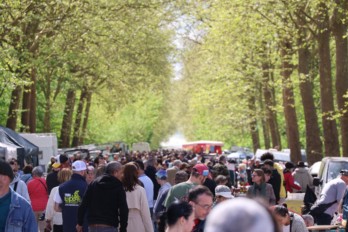 Julien Limongi tweet media