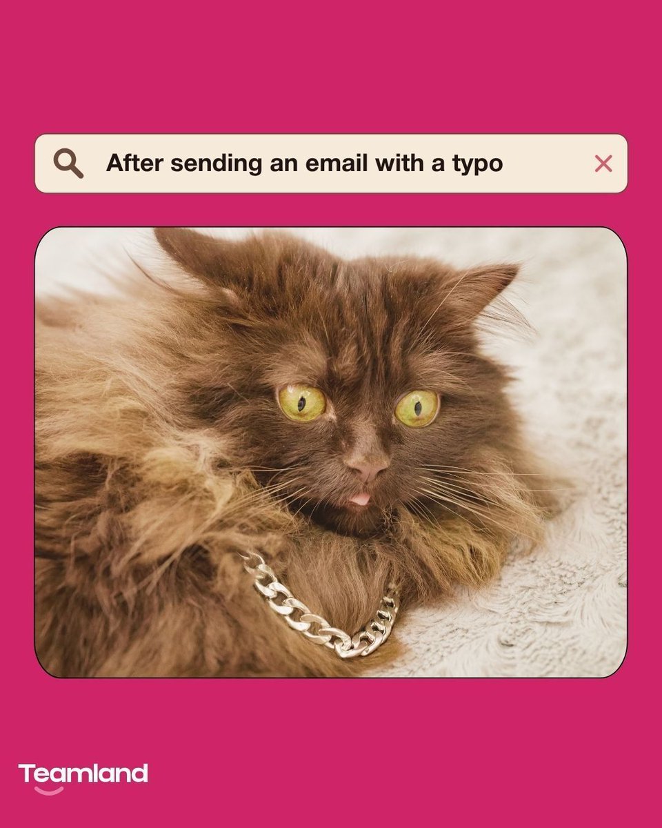 Teamland tweet media