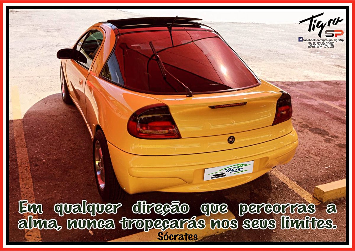 Osmar 🐰 tweet media