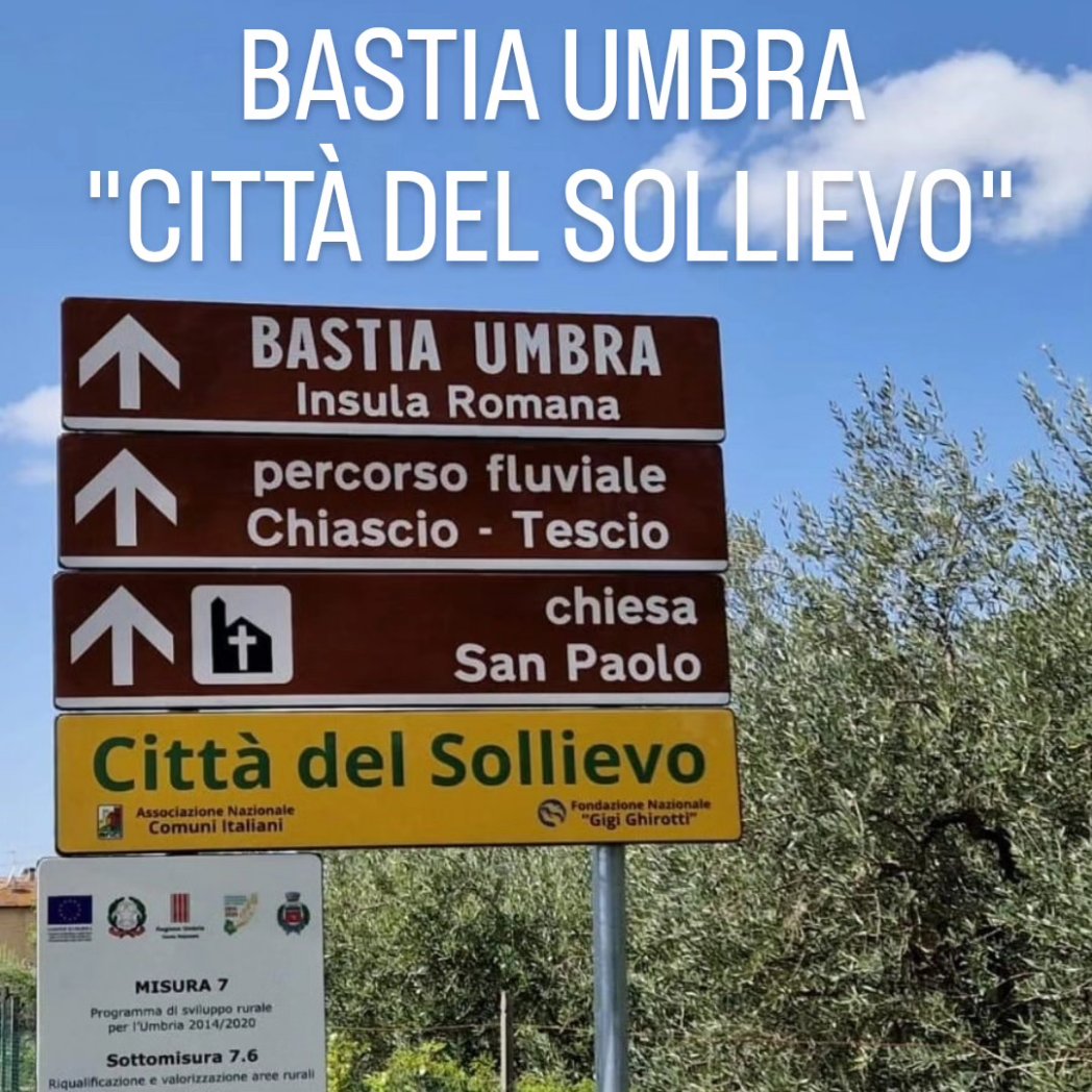 Fondazione Ghirotti tweet media