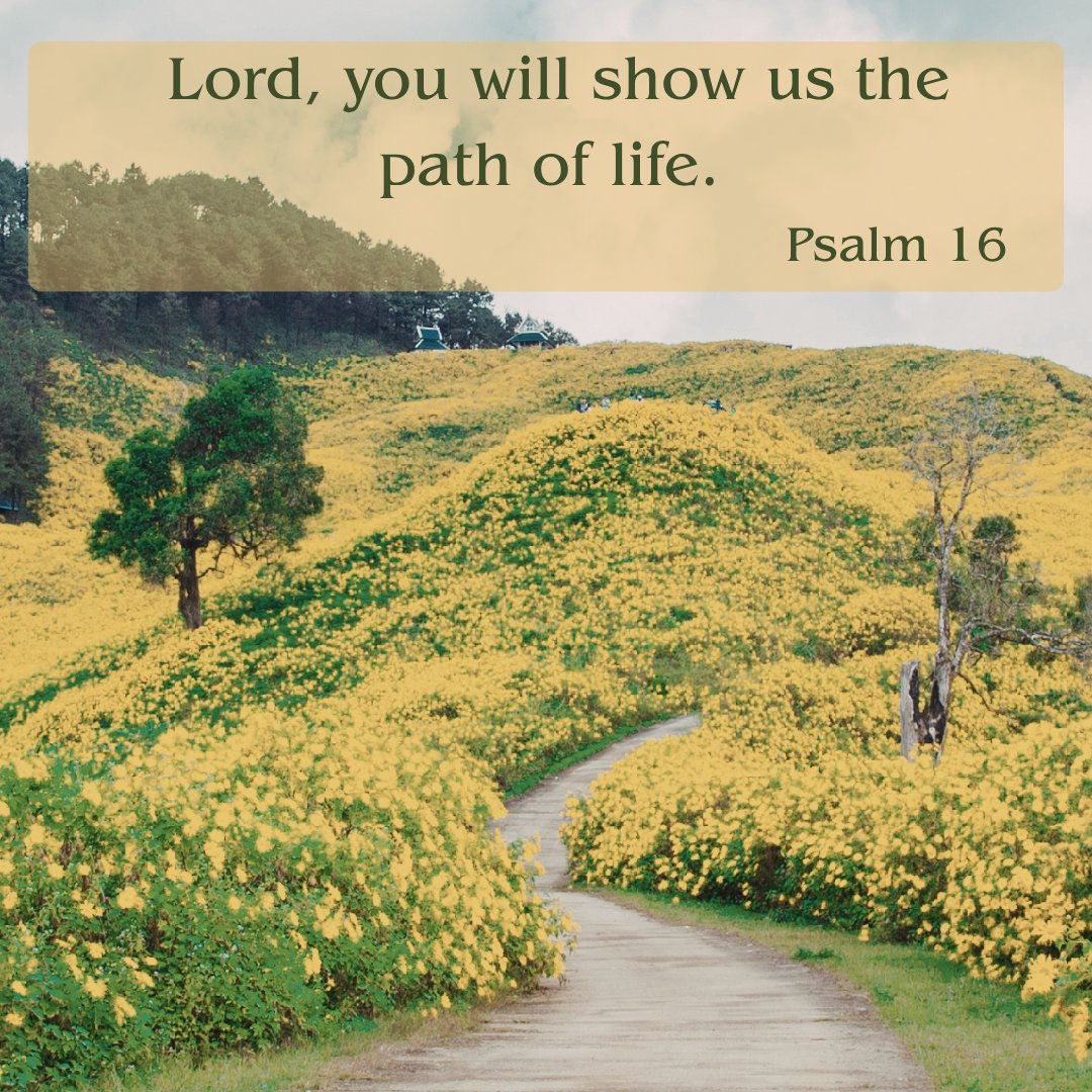 #psalm16 #stmaryswinma