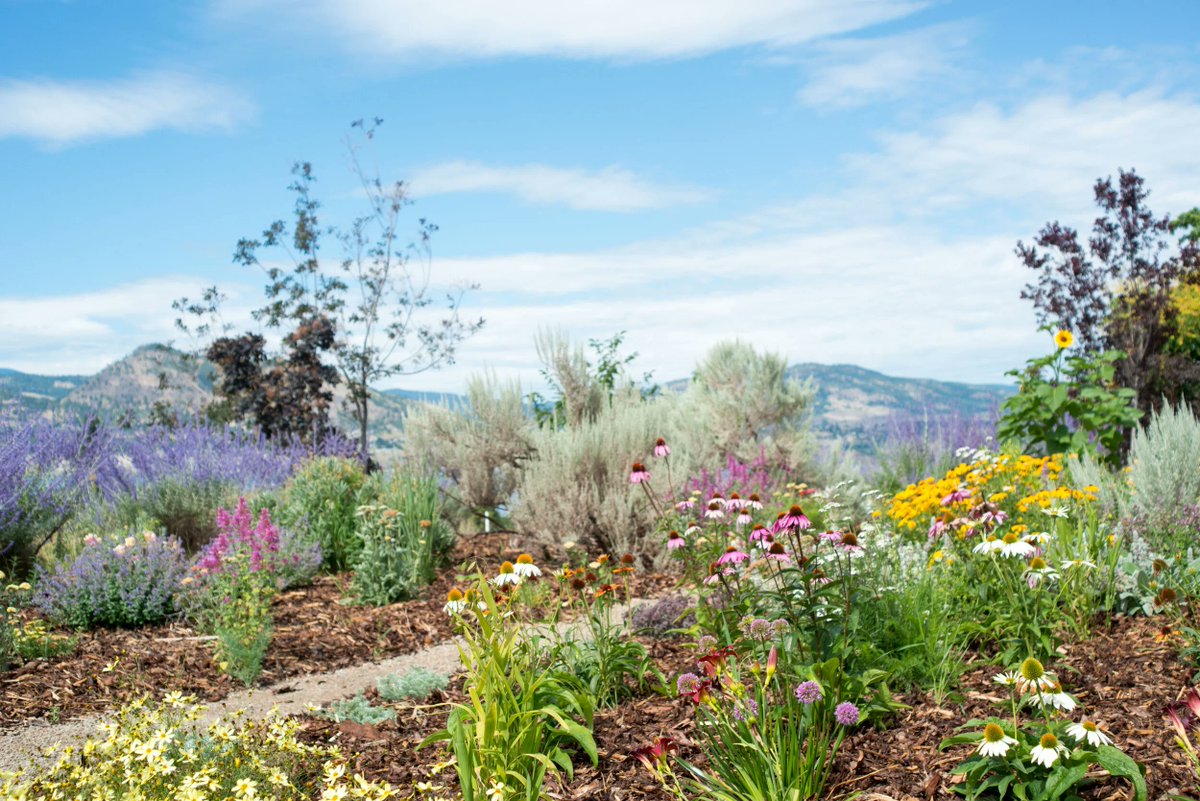 Give A Shit About Nature tweet media