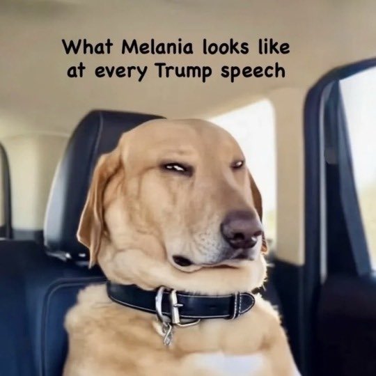 What Melania looks like at every press conference. This is her doppelgänger