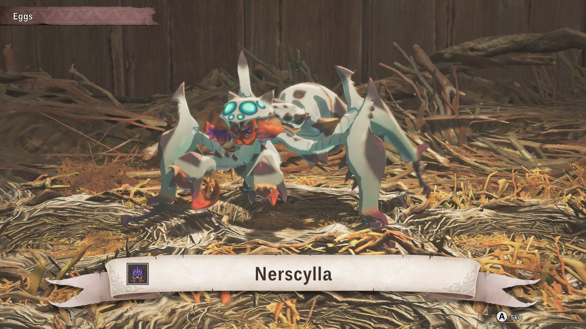 Islander Iris 🍊🧡 tweet media