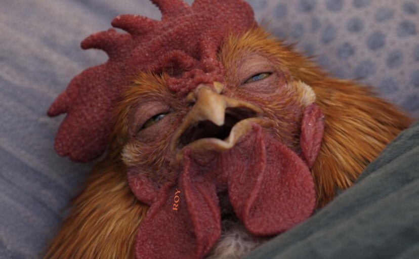 deevyn d diva🎀💕 tweet media