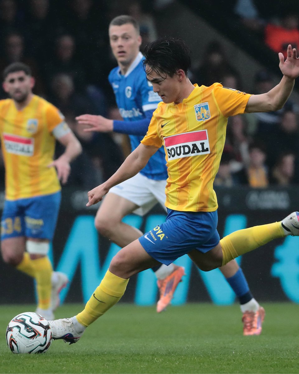 KVC Westerlo tweet media