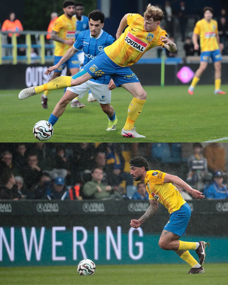 KVC Westerlo tweet media