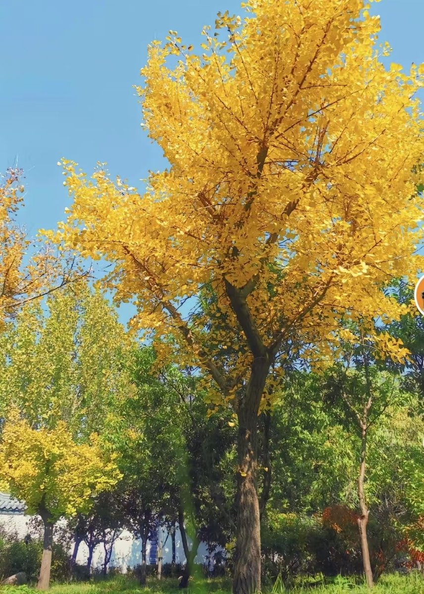 Katherine Cardullo tweet media