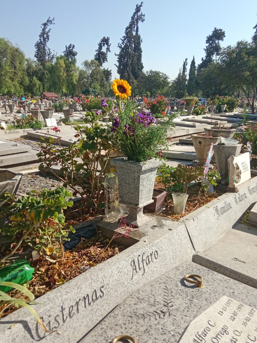 CCHYPF's tweet photo. CEMENTERIO METROPOLITANO DE SANTIAGO, PARTE I 🪦

Registros de Nils Cisternas, durante su última visita a este camposanto. ⚰️

Muchas gracias por compartir y feliz fin de semana. ✨️

#CementeriosChilenosYPatrimonioFunerario #CementeriosChilenos #NecrópolisChilenas https://t.co/BG1rsmbKoK