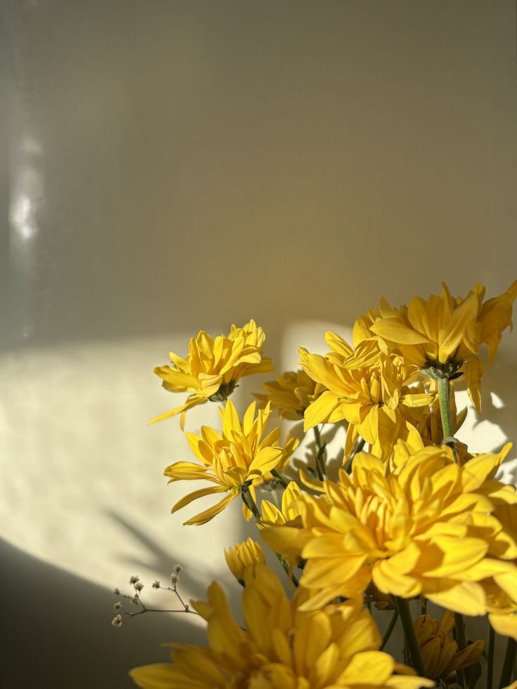 | #LHRDomingoDeGuapos |