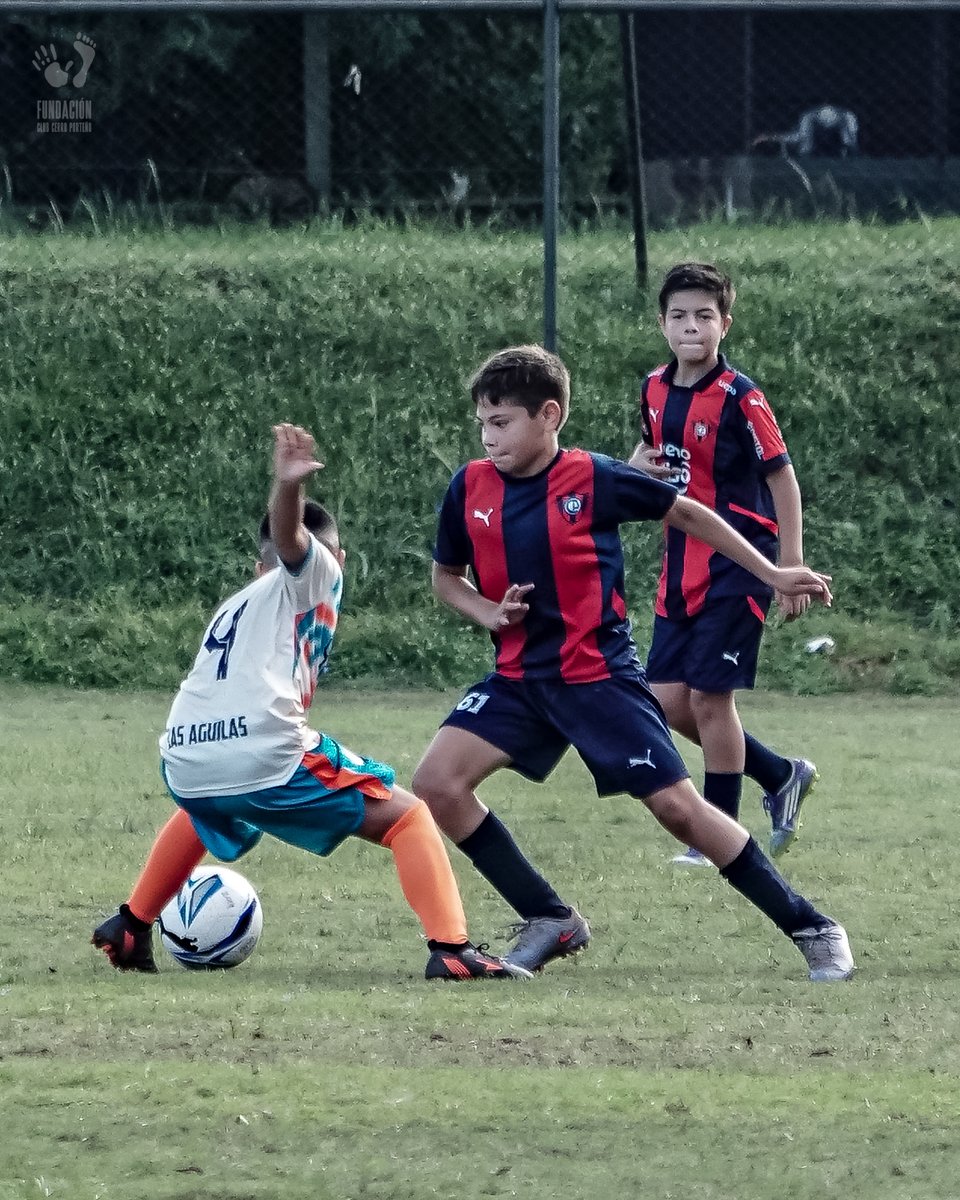 Fundación Club Cerro Porteño tweet media