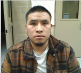 U.S. Immigration and Customs Enforcement tweet media