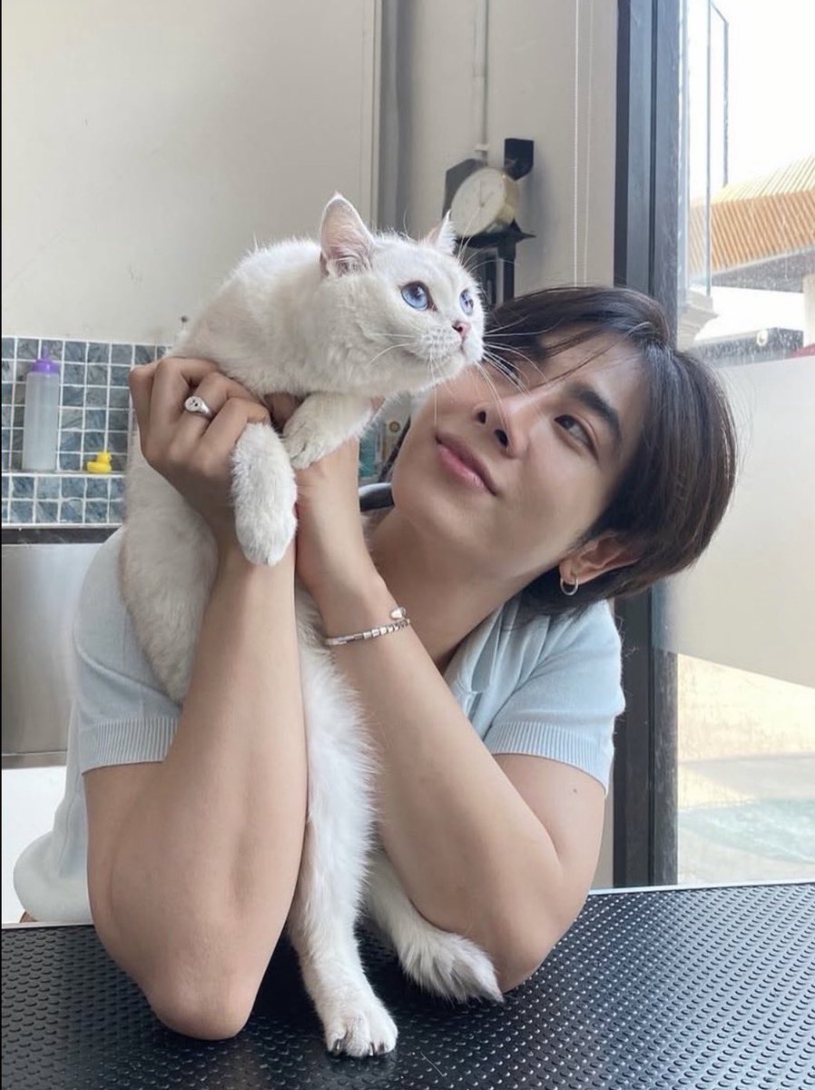 himamix❄️1008 tweet media