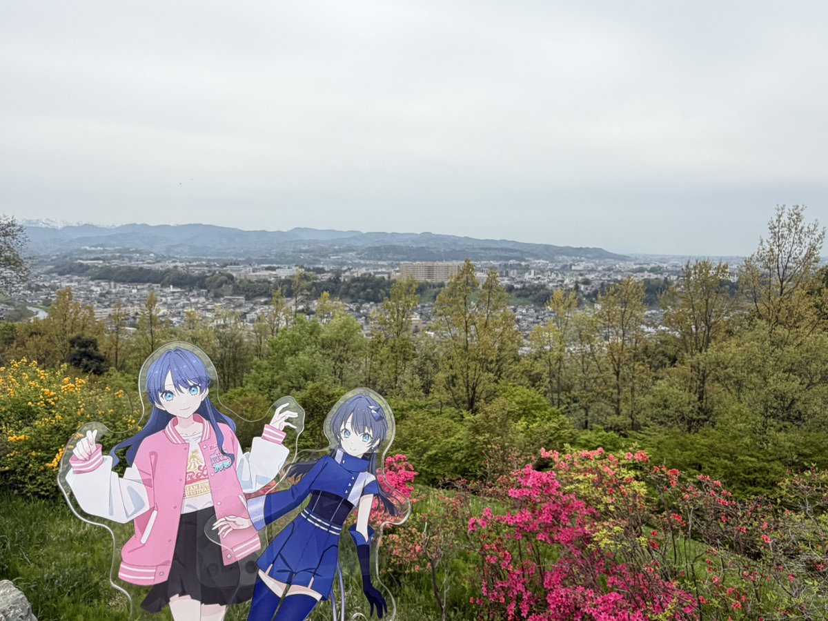 つばさ tweet media