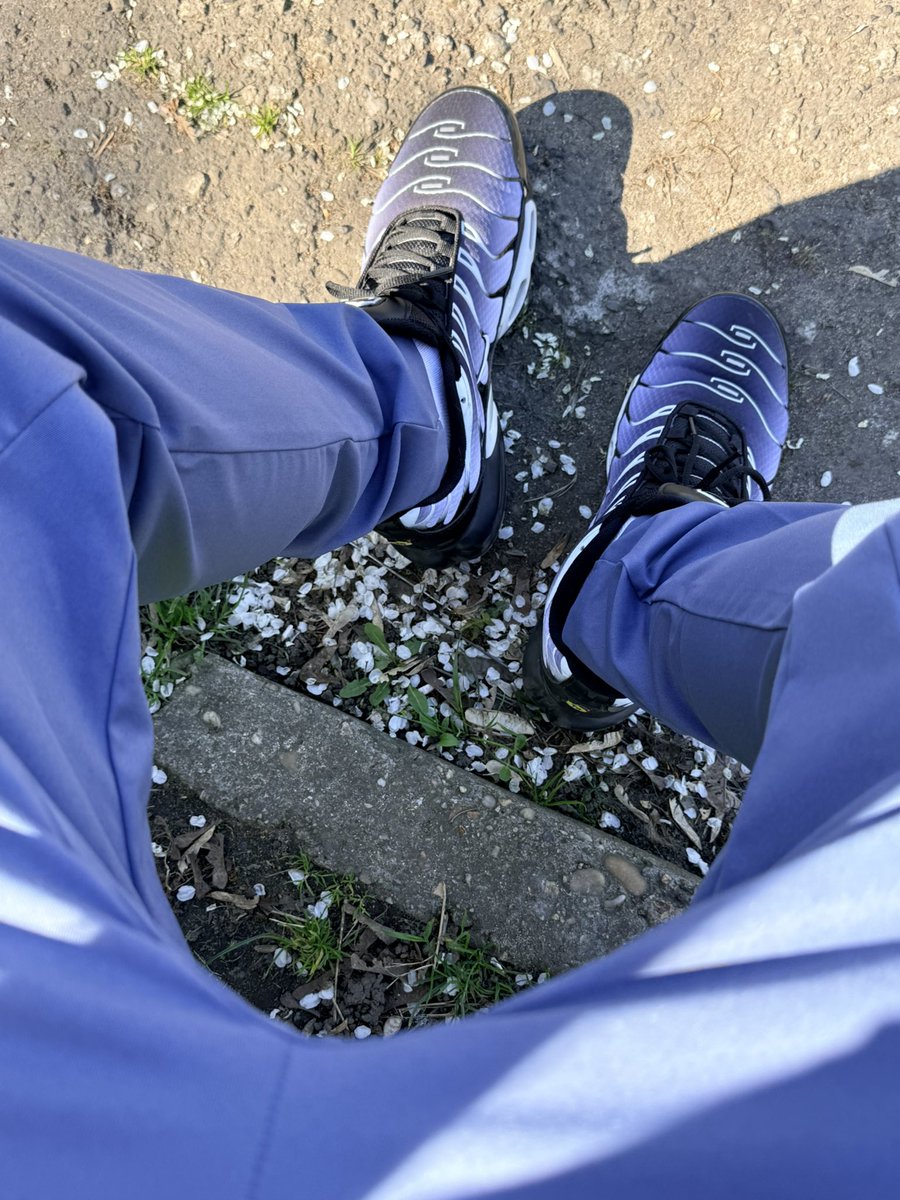 kiffsockspl's tweet photo. TNs on my feet. You on your knees financially. Seeking a serious finsub who understands obedience🧎🏻‍♂️#findom #finsub #paypig #financialslave #NikeTN #AirMaxPlus #scally #scallylad #dominant #sendcash #tribute #alphamale #cashmaster #drainingwallets #cashsubs #cashdraining https://t.co/JJNm387kAT
