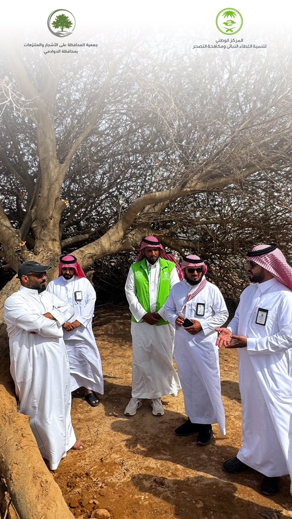 sultan0335's tweet photo. بالتعاون مع المركز الوطني لتنمية الغطاء النباتي ومكافحة التصحر، وبلدية محافظة الدوادمي، وجمعية المحافظة على الأشجار والمتنزهات بالدوادمي، تمت معالجة شجرة واقعة في أحد شعاب الدوادمي والعمل على إعادة تأهيلها حفاظًا عليها باعتبارها من المعالم الطبيعية والبيئية المهمة بالمحافظة. https://t.co/YNVMBiqAi6