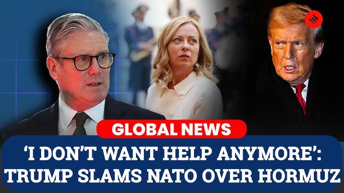 Devilliers002's tweet image. 🚨 ब्रेकिंग: ट्रंप ने NATO को चेतावनी दी! 🔥 ईरान युद्ध में मदद न करने पर बोले- "पेपर टाइगर!" 🐯❌🇺🇸 अमेरिका गठबंधन छोड़ सकता है। 😡 NATO का अंत? 💥🤔

**क्या ट्रंप NATO छोड़ देंगे?** 📊  
🇦) हाँ✅  
🇧) नहीं ❌  
🇨) देखते हैं 👀  
#TrumpNATO #IranWar #Poll 🔥🇺🇸🗳