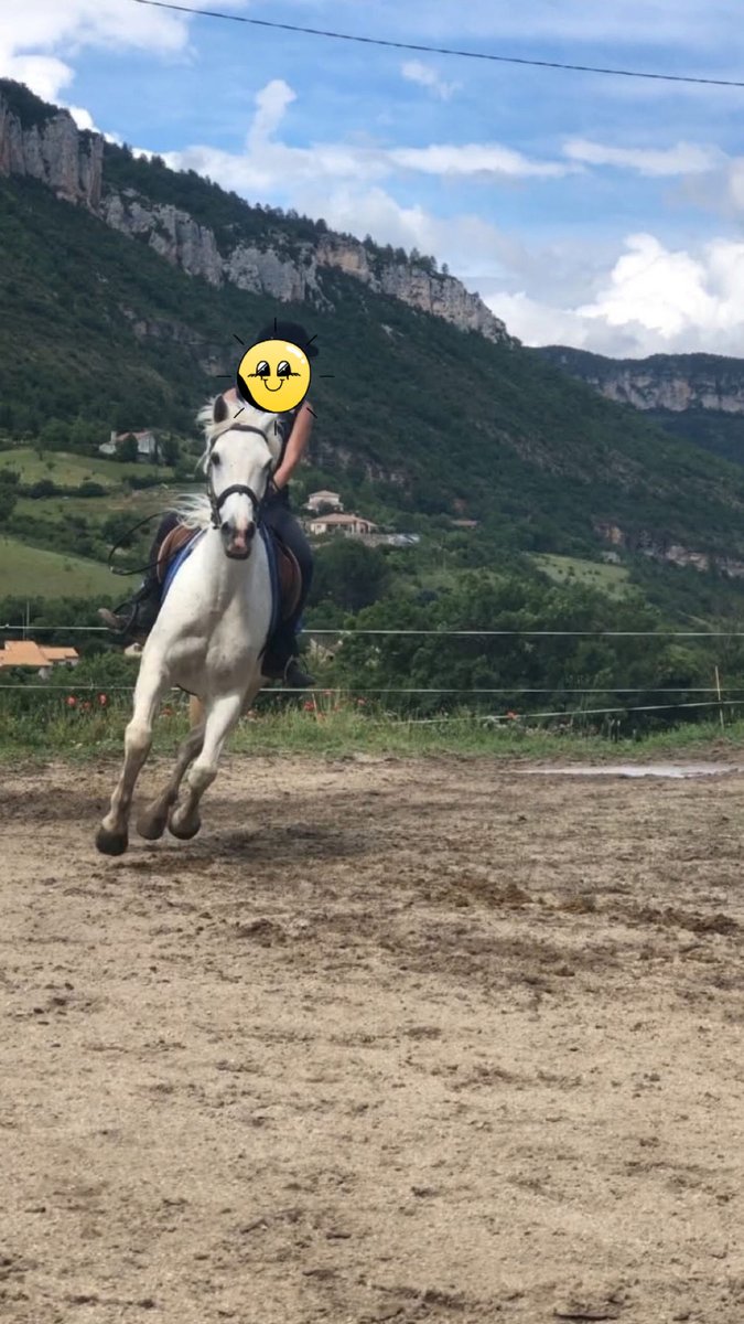 sa majesté des mouches tweet media